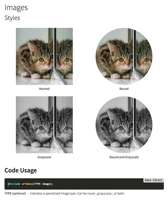 Kitten Image Examples