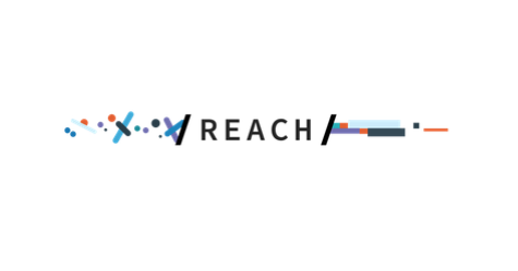Talent Spotlight: REACH at LinkedIn 
